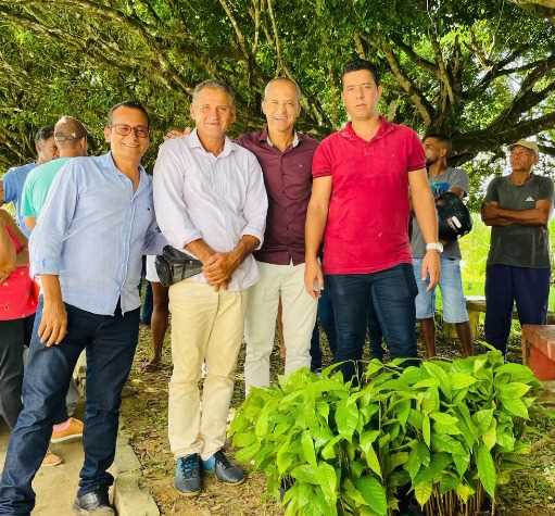 Camacã: Prefeitura chega a marca de 35 mil mudas de Cacau distribuídas para pequenos agricultores
